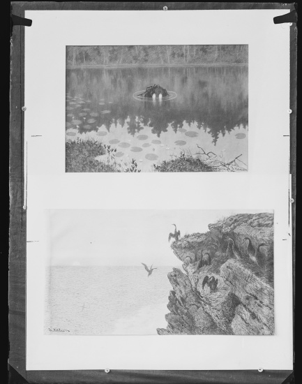 Glassplate
