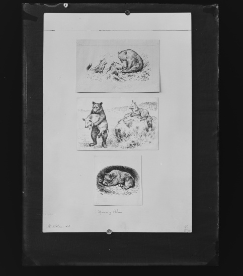 Glassplate