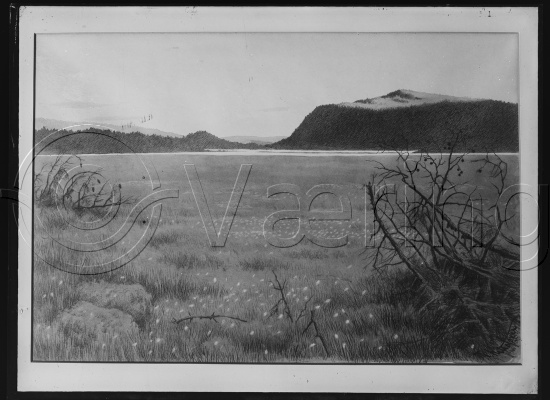 Glassplate og negativ film
