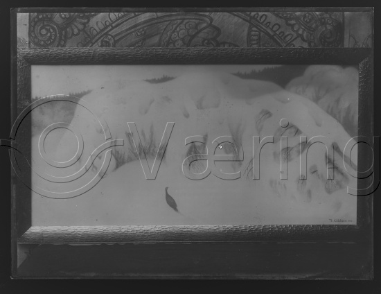 Glassplate og negativ film
