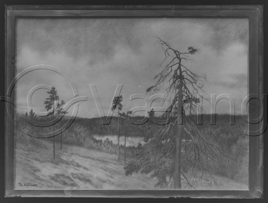 Glassplate og negativ film
