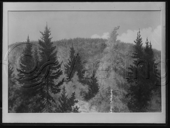 Glassplate og negativ film