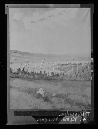 Glassplate og negativ film