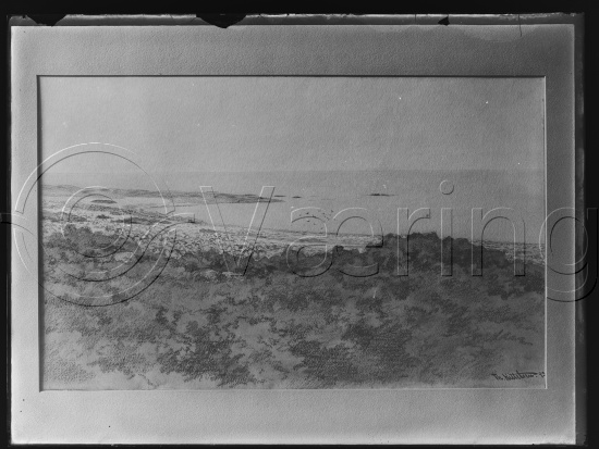 Glassplate og negativ film