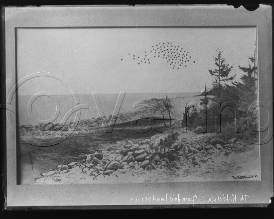 Glassplate og negativ film
