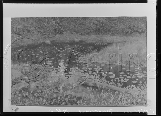 Glassplate og negativ film