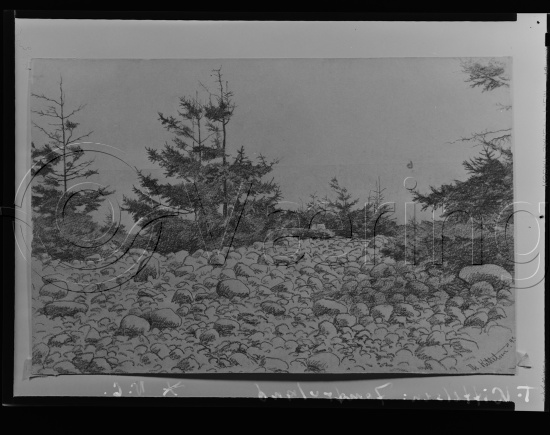 Glassplate og negativ film