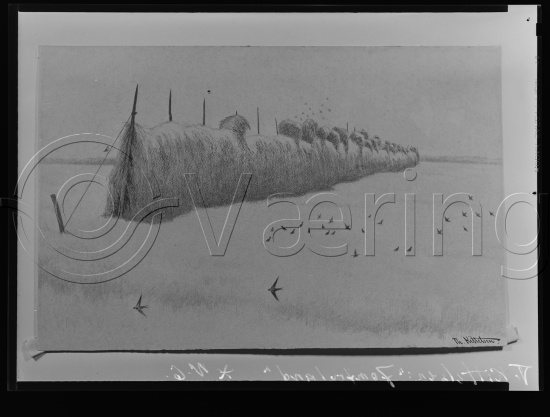 Glassplate og negativ film