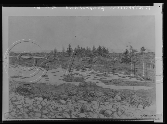 Glassplate og negativ film