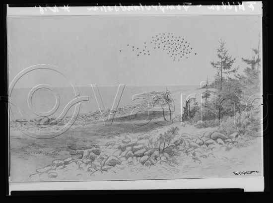 Glassplate og negativ film