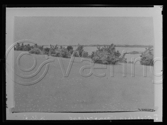 Glassplate og negativ film