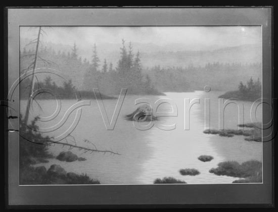 Glassplate og negativ film