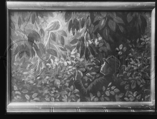 Glassplate og negativ film