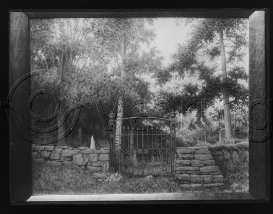 Glassplate og negativ film
