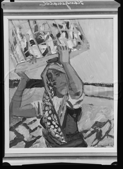 Glassplate og negativ bladfilm