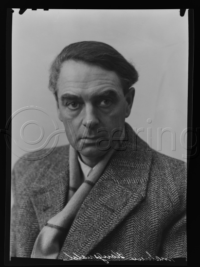 Glassplate og negativ bladfilm