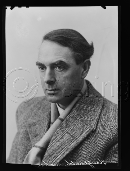 Glassplate og negativ bladfilm