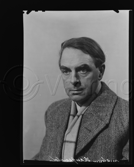 Glassplate og negativ bladfilm