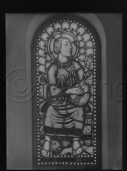 Glassplate og negativ film