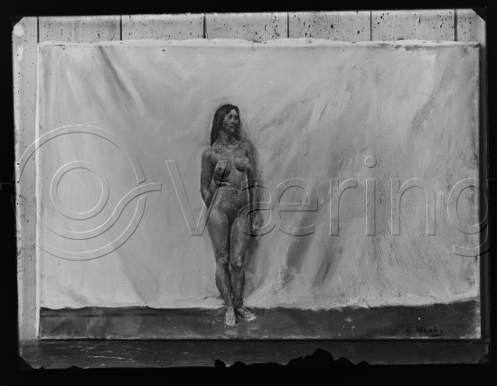 Glassplate og negativ film