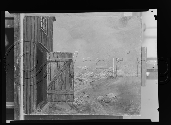 Glassplate og negativ film