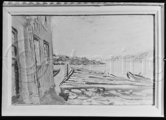 Glassplate og negativ film