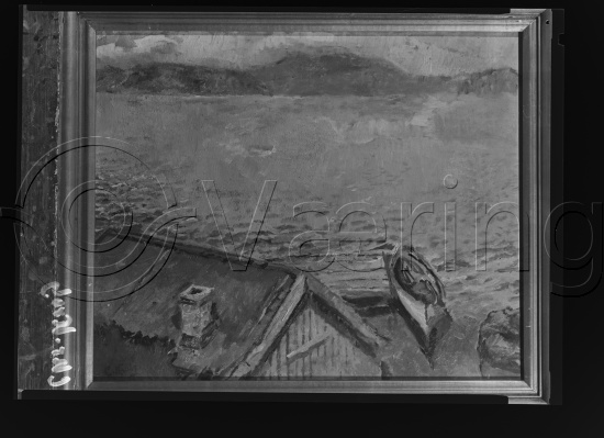 Glassplate og negativ film