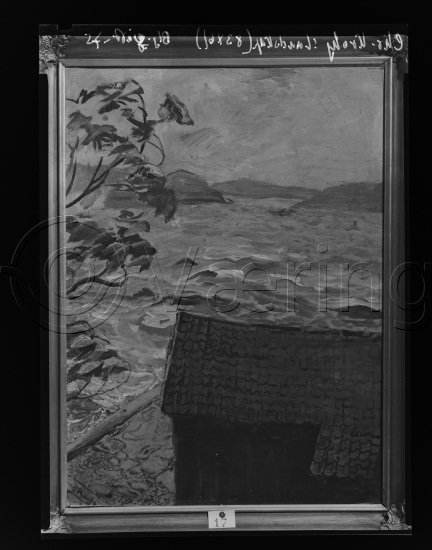 Glassplate og negativ film