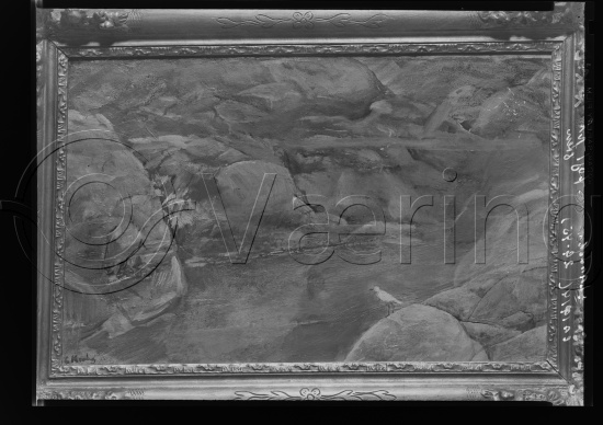 Glassplate og negativ film
