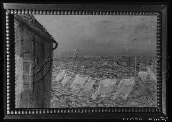 Glassplate og negativ film