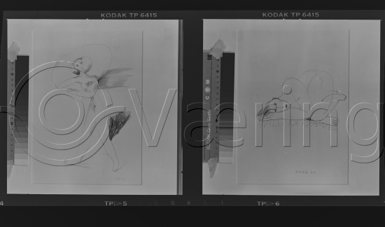 Foto portrett Per Petersson