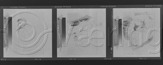 Foto portrett Per Petersson