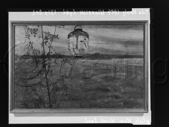 Glassplate og negativ film