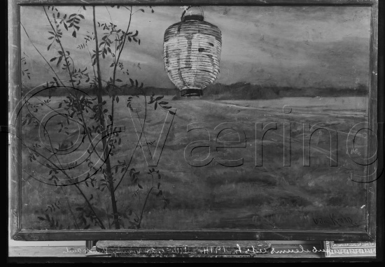 Glassplate og negativ film