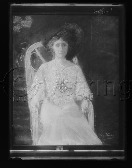 Glassplater og negativ film