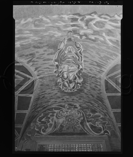 Glassplate og negativ film