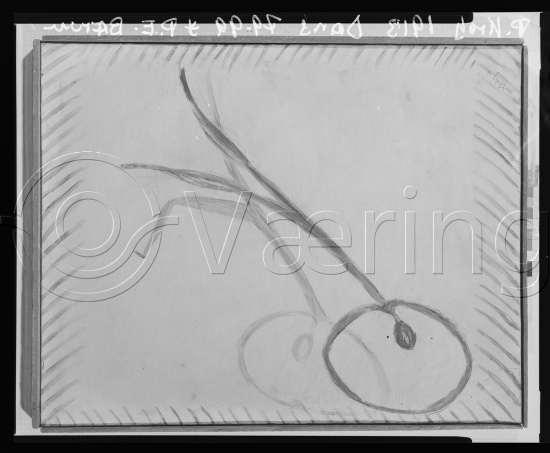 Glassplate og negativ film