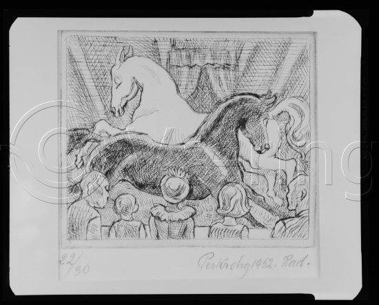 Glassplate og negativ film