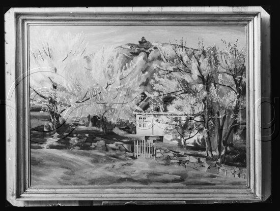 Glassplate og negativ film