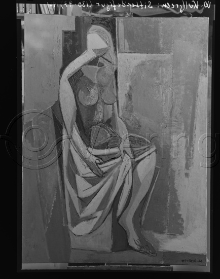 Glassplate og negativ film