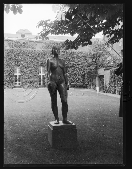 Glassplate og negativ film