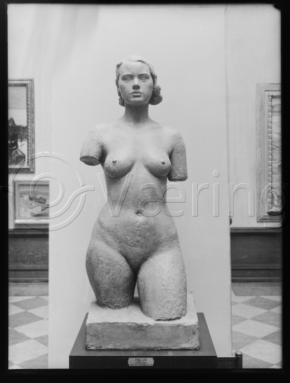 Glassplate og negativ film