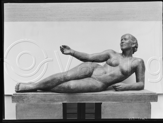 Glassplate og negativ film