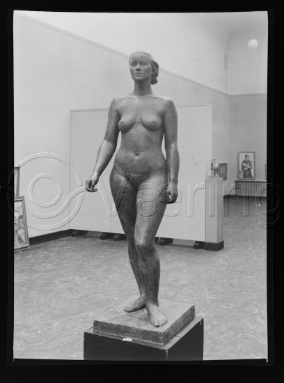 Glassplate og negativ film