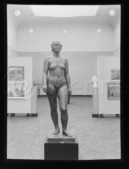 Glassplate og negativ film