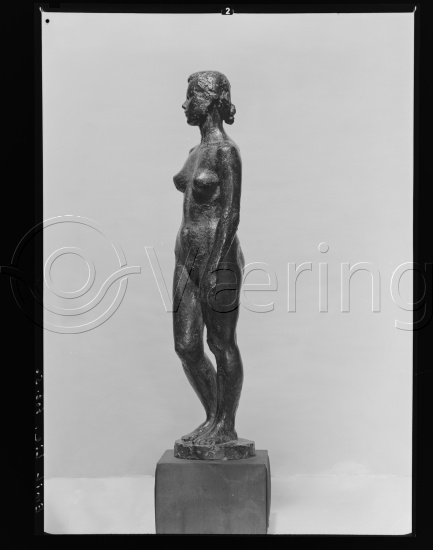 Glassplate og negativ film