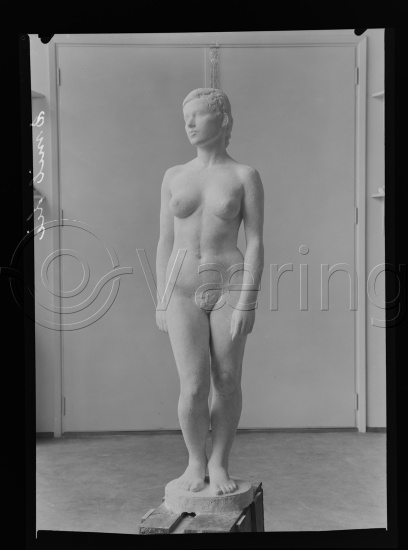 Glassplate og negativ film