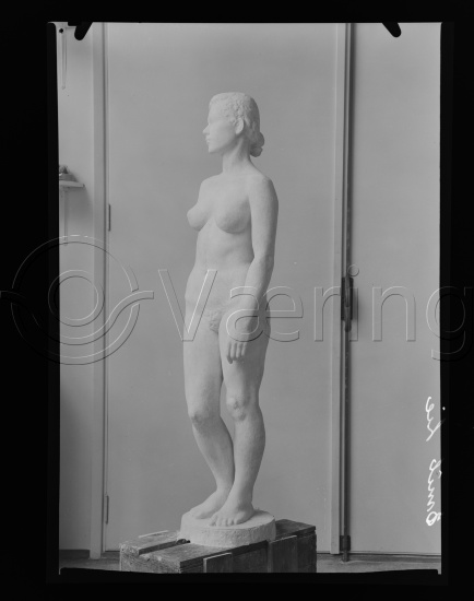 Glassplate og negativ film