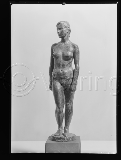 Glassplate og negativ film