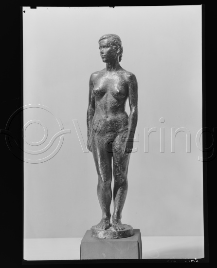 Glassplate og negativ film